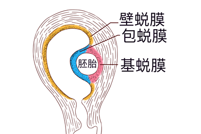 女人要定你