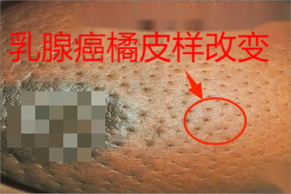 吴秀波 汤唯