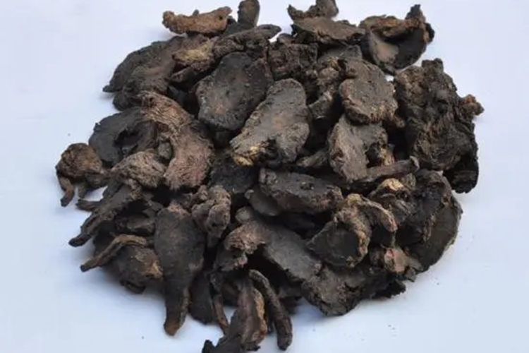 生地黄的图片是啥 | 百度健康·医学科普