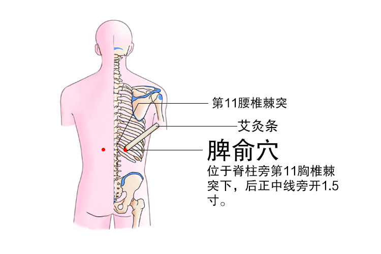 脾胃虚弱艾灸全图