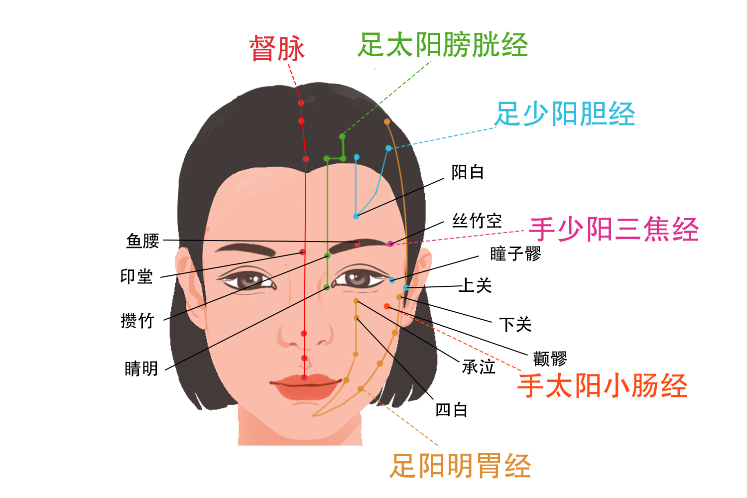 眼部周围的经络图 | 百度健康·医学科普