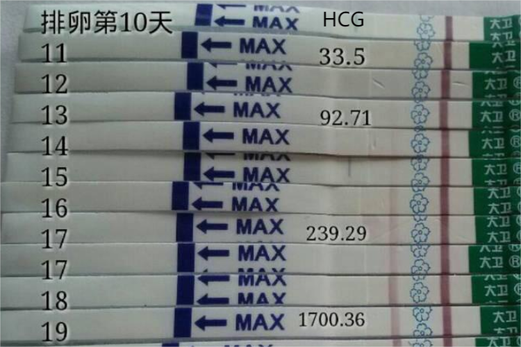 hcg值与早孕试纸对照图 | 百度健康·医学科普