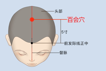 百会穴的准确位置图