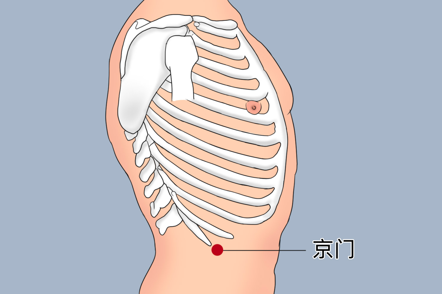 京门位准确位置图 | 百度健康·医学科普