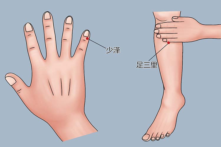膻中的准确位置图片图 | 百度健康·医学科普
