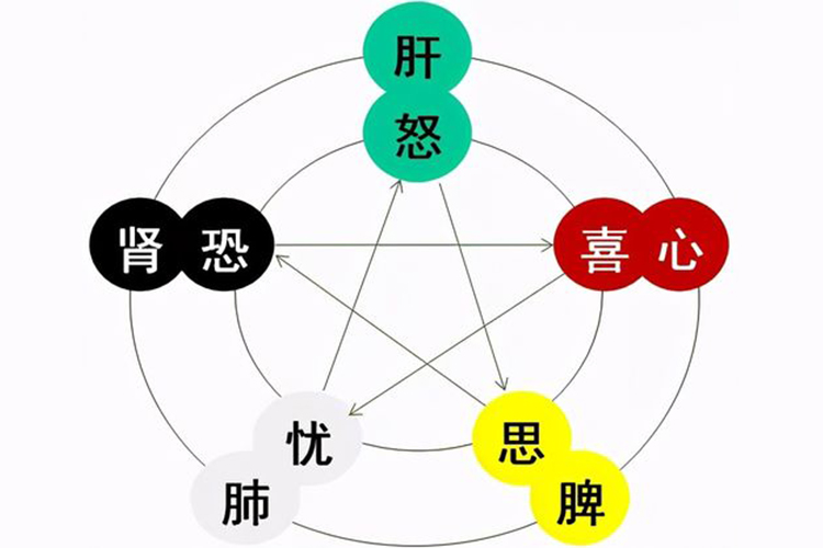 情绪和五脏六腑关系示意图 | 百度健康·医学科普