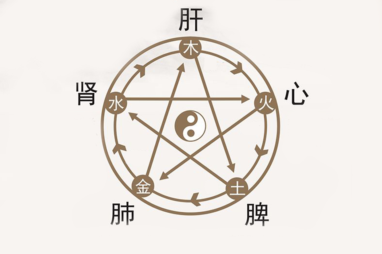 五行与脏腑对应关系图 | 百度健康·医学科普