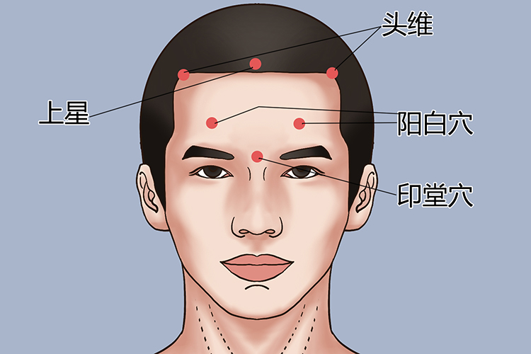 头部有哪些穴位 | 百度健康·医学科普