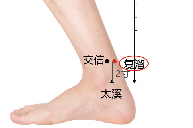 复溜准确位置图和作用及功效
