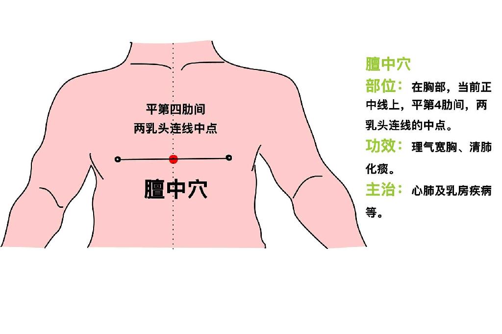 膻中穴位置图