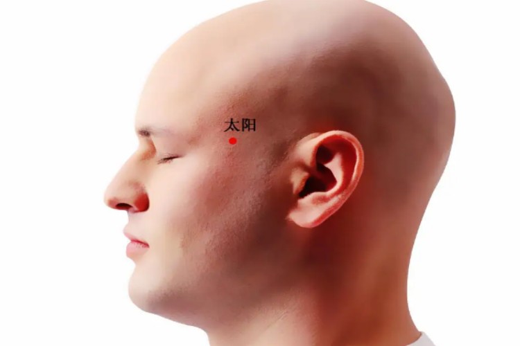 太阳穴位置图