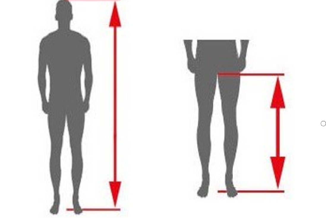 腿长测量图