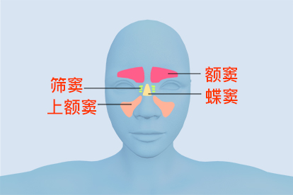 鼻窦是在哪一个位置 | 百度健康·医学科普
