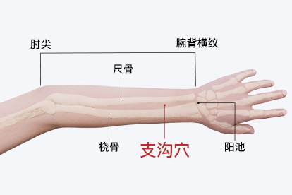 支沟的准确位置图片