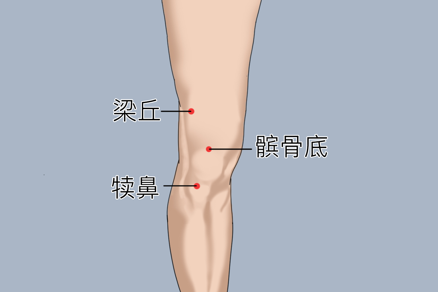 膝盖穴位图