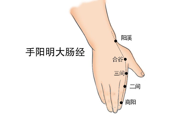 食指经络图 | 百度健康·医学科普