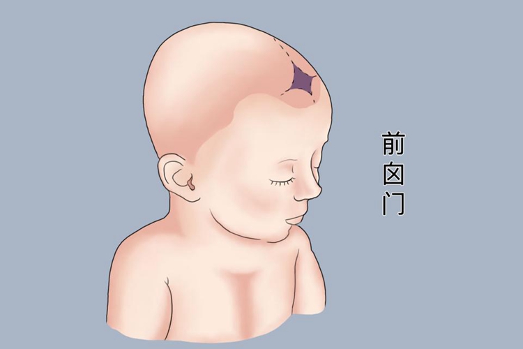 宝宝卤门图片 正常 | 百度健康·医学科普