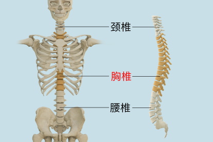 第三次初恋