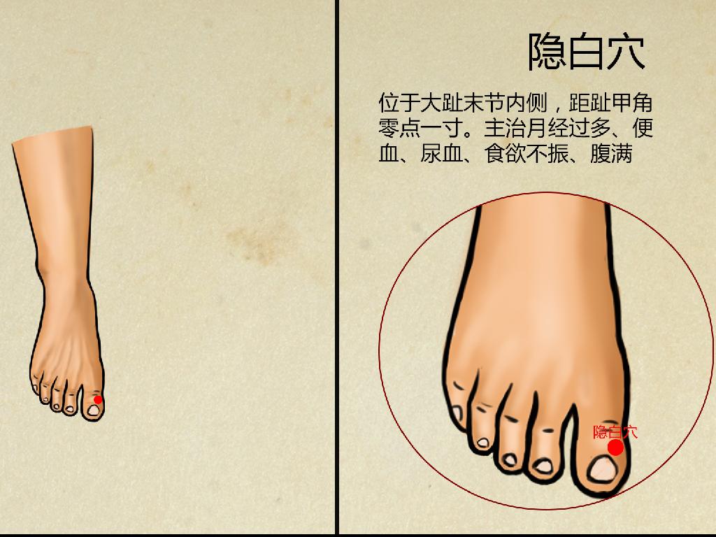 隐白的准确位置图