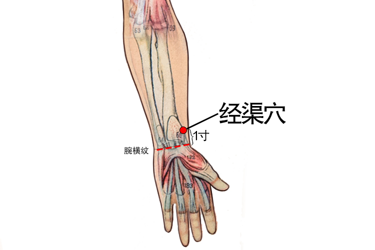 经渠的准确位置