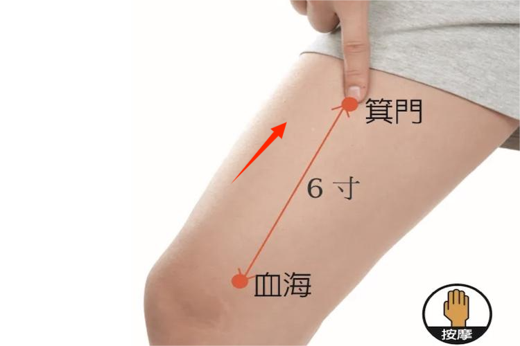 足太阴脾经大腿内侧经络图