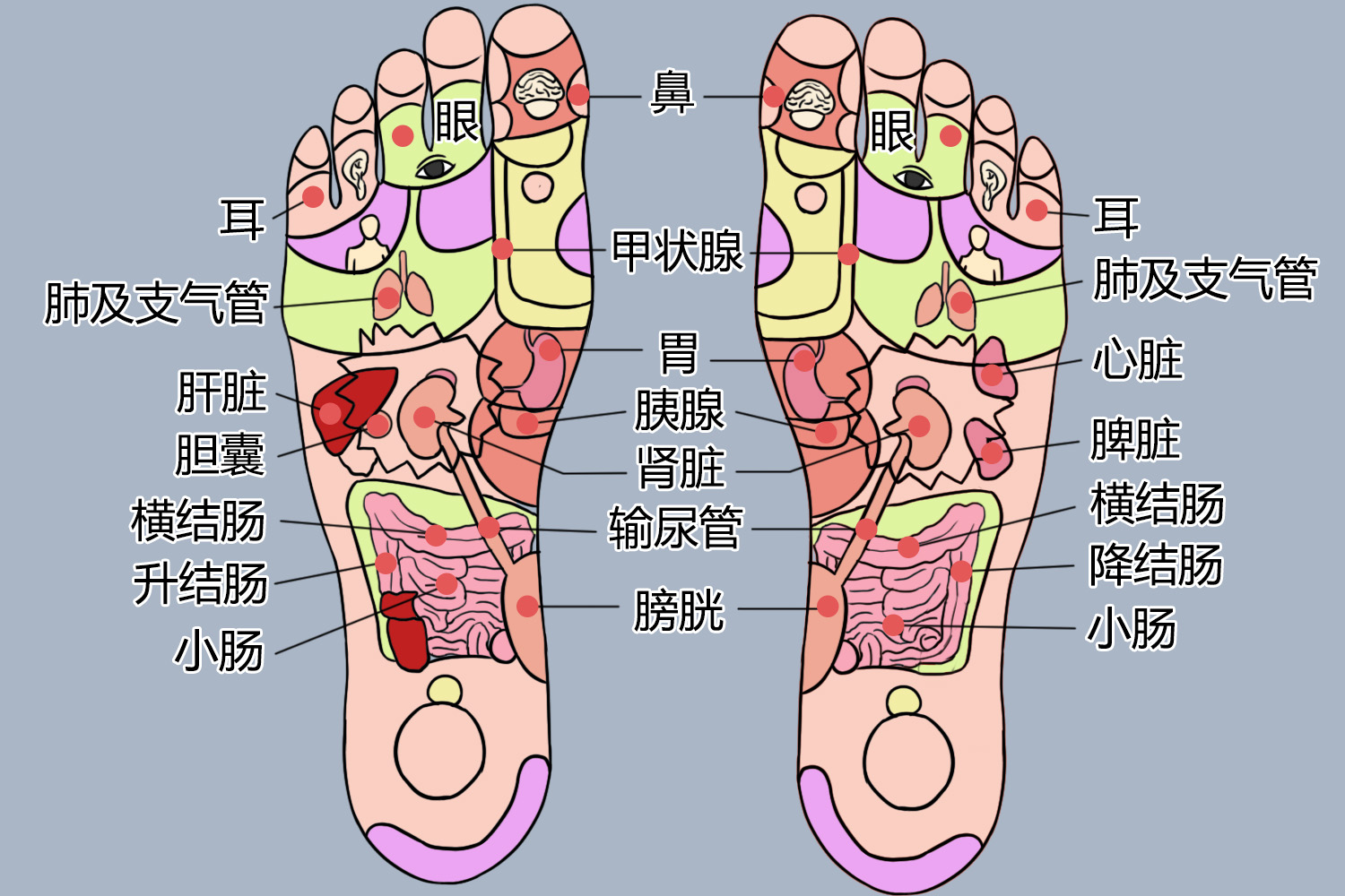 法证先锋第3部