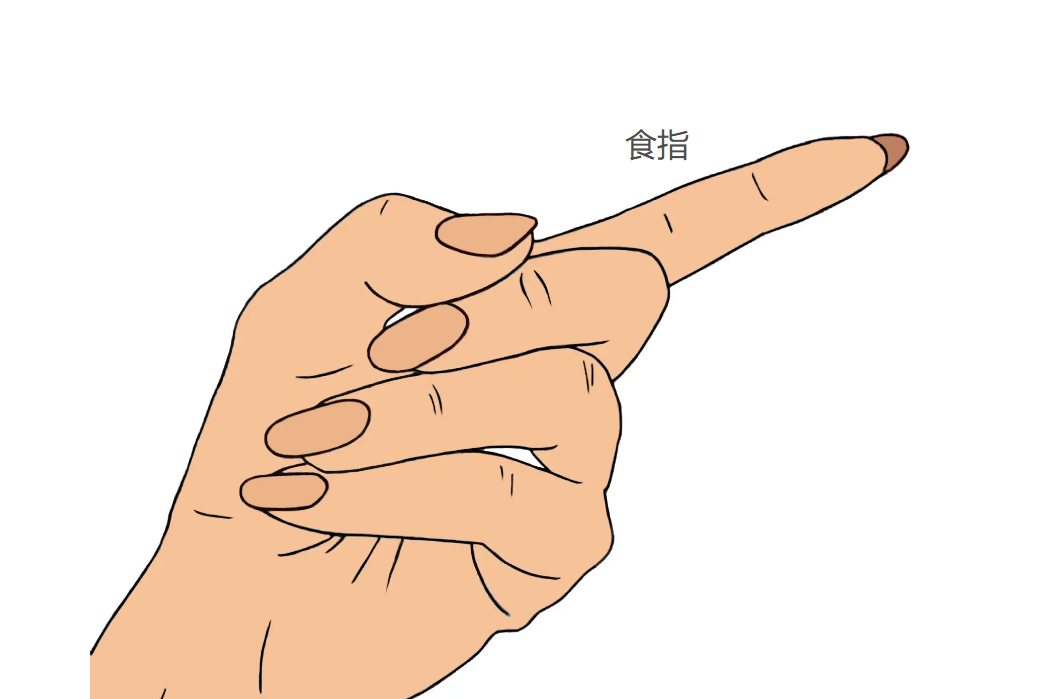 食指是哪个手指图片
