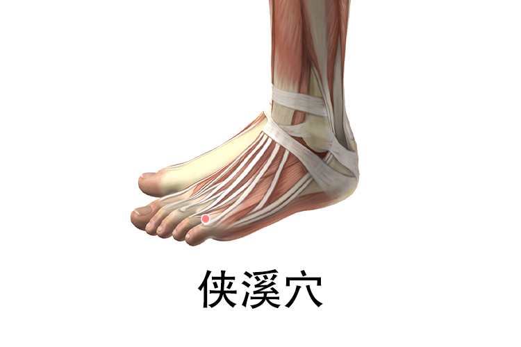 侠溪的准确位置图