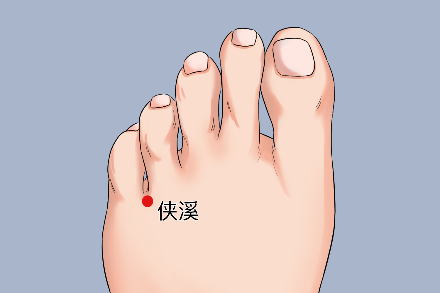 侠溪的准确位置图片及功效