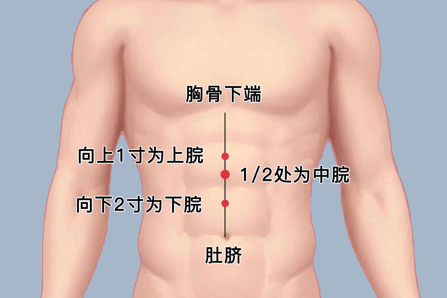 脾胃贴贴敷于中脘穴位置图