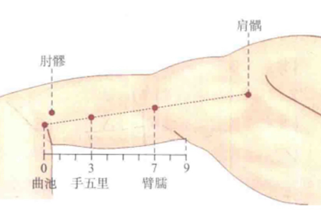 臂臑穴准确位置图和作用及功效 | 百度健康·医学科普