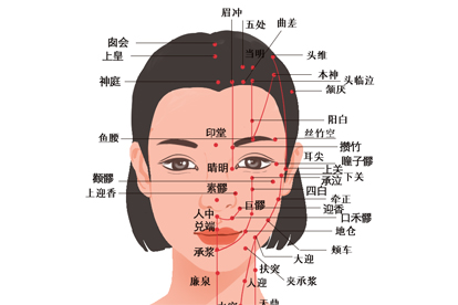 面部穴位图