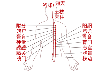 腰部经络图解大全图片 | 百度健康·医学科普