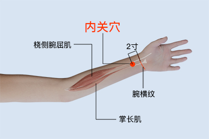 王琦九种体质