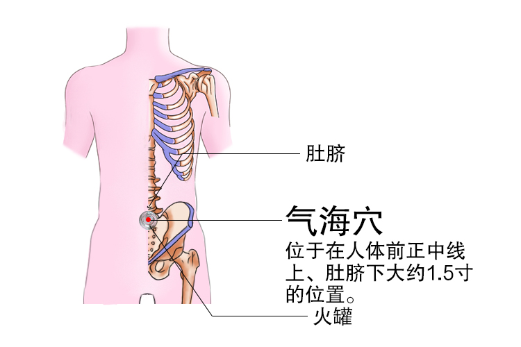 肠胃不好拔罐拔哪个部位 图