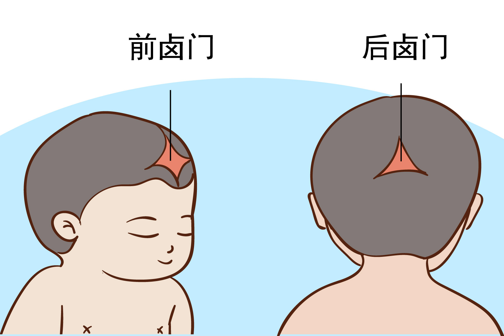 小儿囟门图片 | 百度健康·医学科普