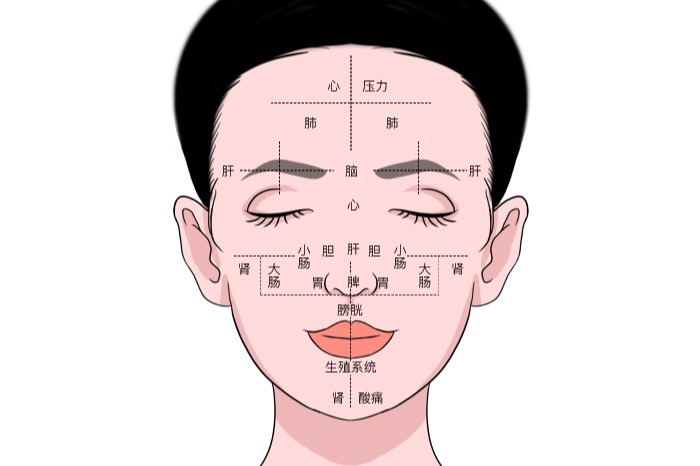 面部五脏六腑图 | 百度健康·医学科普