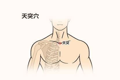 鼻炎贴准确位置图图片