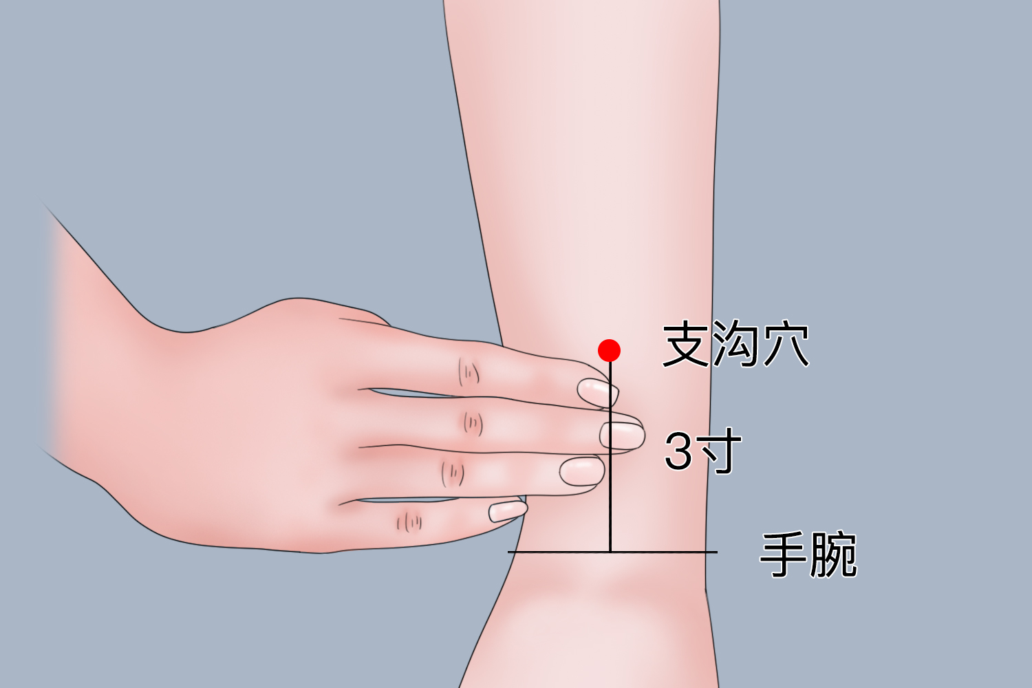 支沟位置图