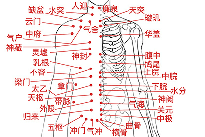 腹部穴位图