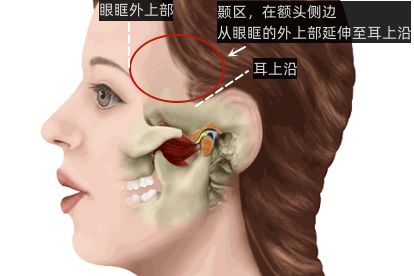 天仓在脸上哪个位置 | 百度健康·医学科普