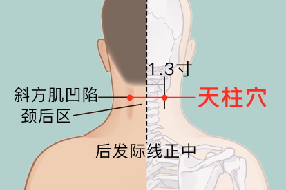 天柱的准确位置图片
