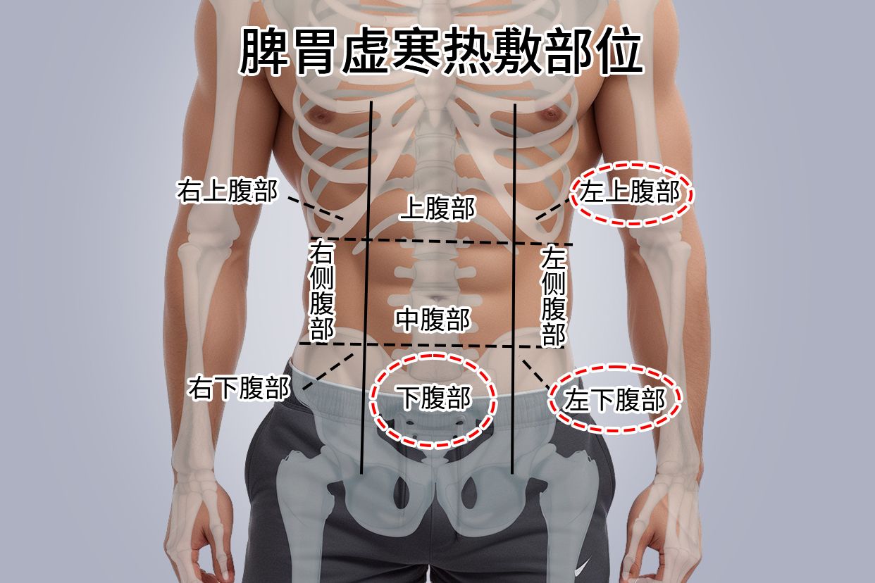 脾胃虚寒热敷哪个部位图片