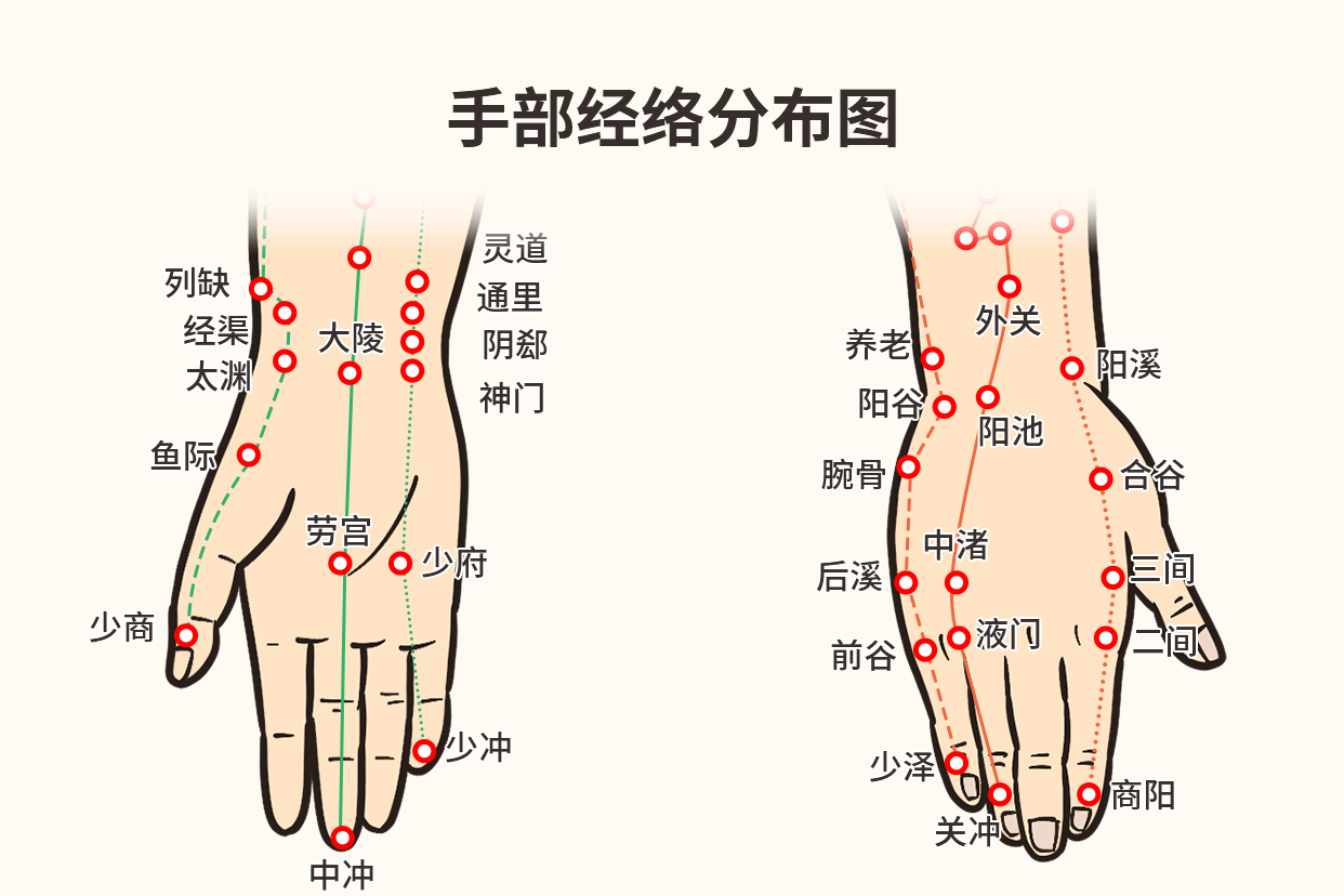 手指经络图