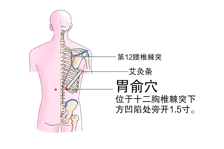 脾胃虚弱艾灸全图