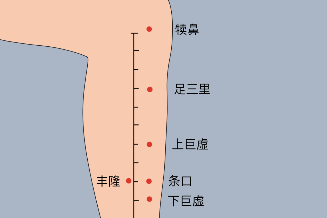 三里的准确位置图图解