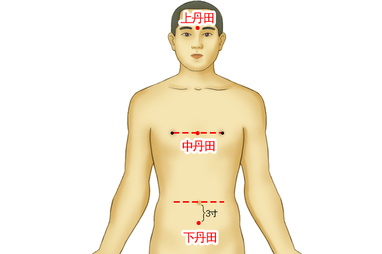 丹田位置图