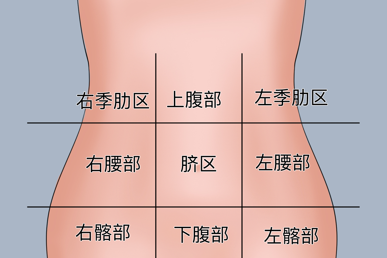 腹是人体的哪个部位 | 百度健康·医学科普