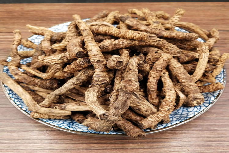 胡黄连的图片大全 | 百度健康·医学科普