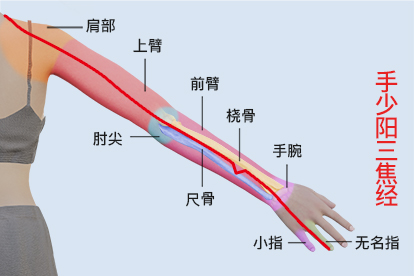 三焦经的准确位置图